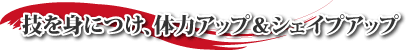 ZgɂA̗̓AbvVFCvAbv